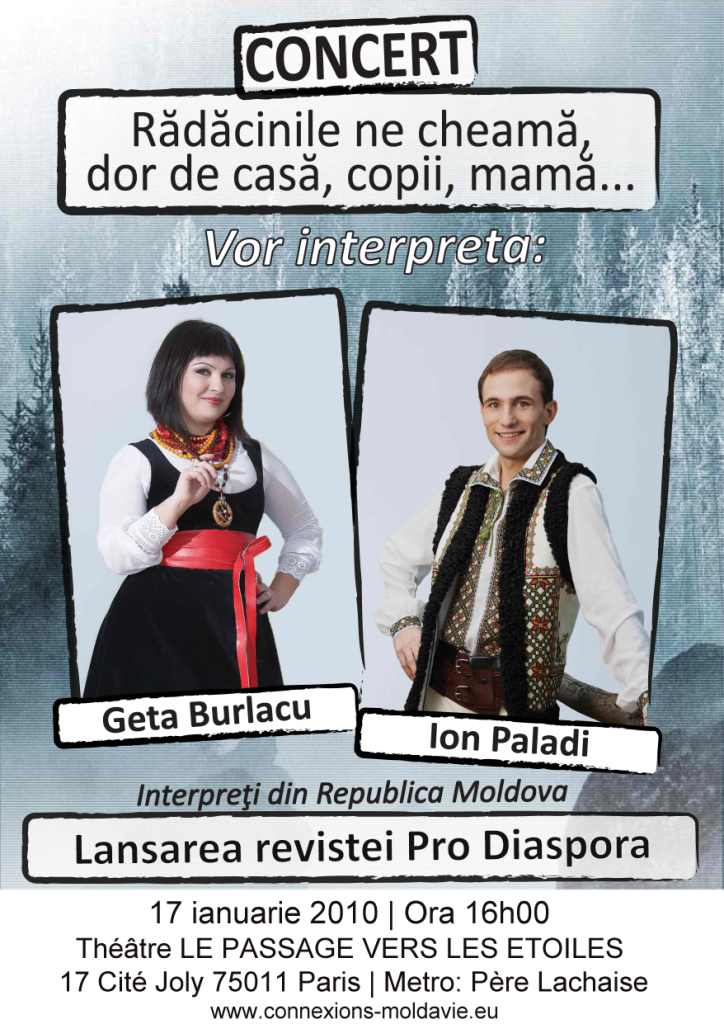 Paladi12v2